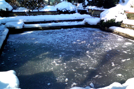 how-to-winterise-a-koi-pond