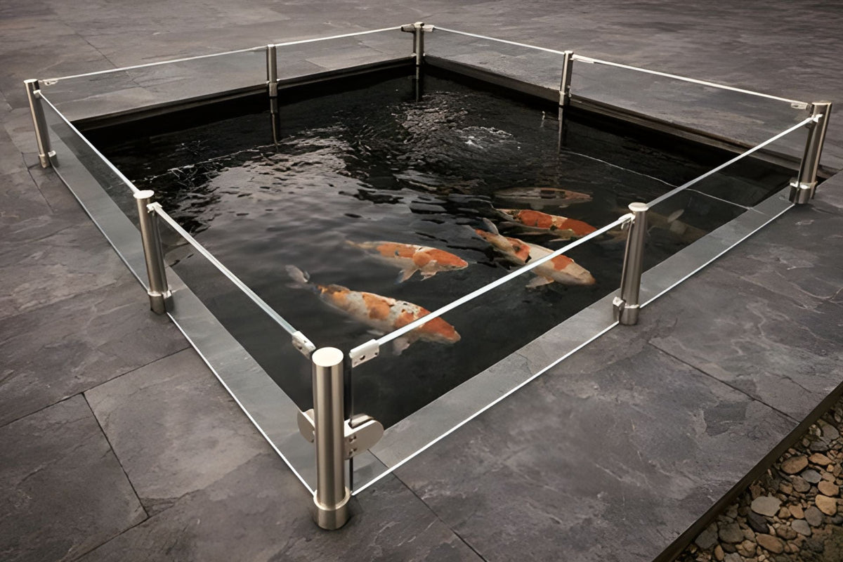 koi jumping out of pond