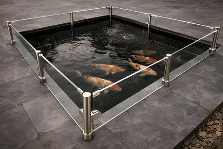 koi jumping out of pond