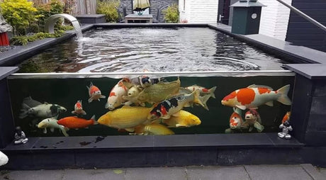 44mm low iron pond glass window
