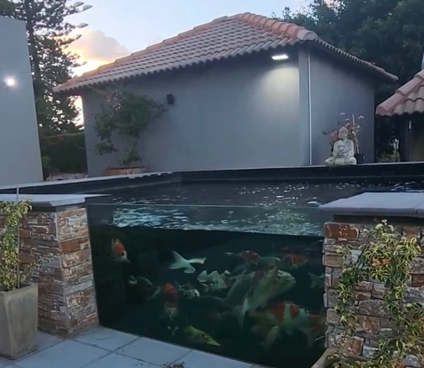 21.5mm Pond Glass Window
